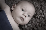 Liam Scholtz 19