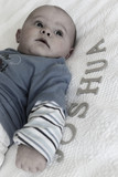Joshua Maree 3