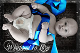Joshua Maree 5