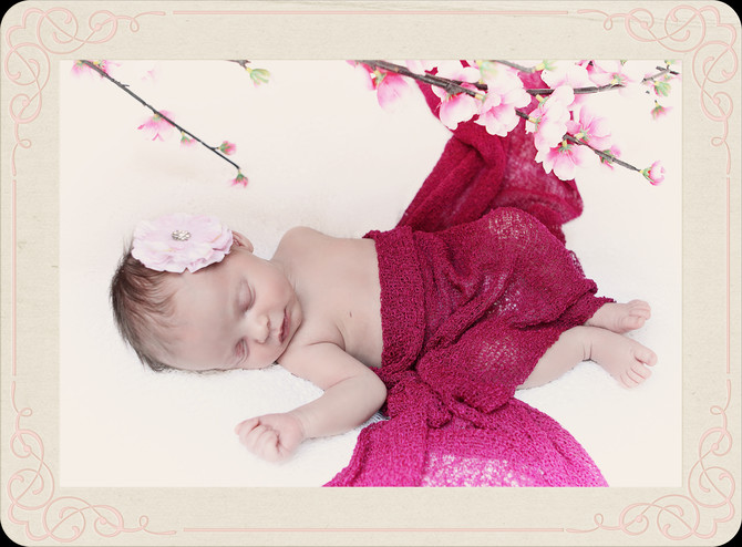 Amore Barnard 11