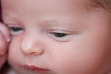 Amore Barnard 4