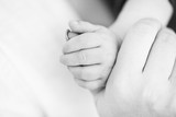 Abbigail Schuld 14
