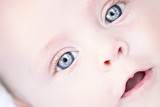 Anja Van Aswegen 4