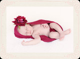 Amelie Viljoen