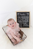 Amelia Wood 14