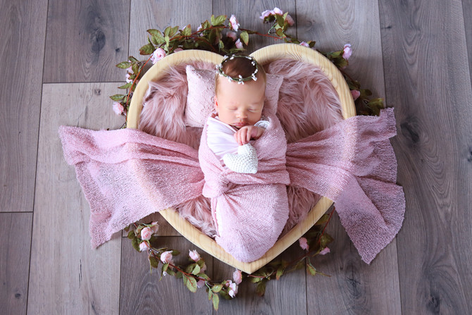 Annabelle Brink 12