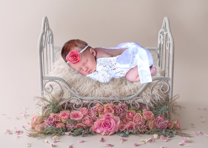 Annabelle Brink 21