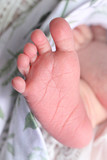 Annabelle Brink 47
