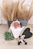 Xayden Du Plessis 2