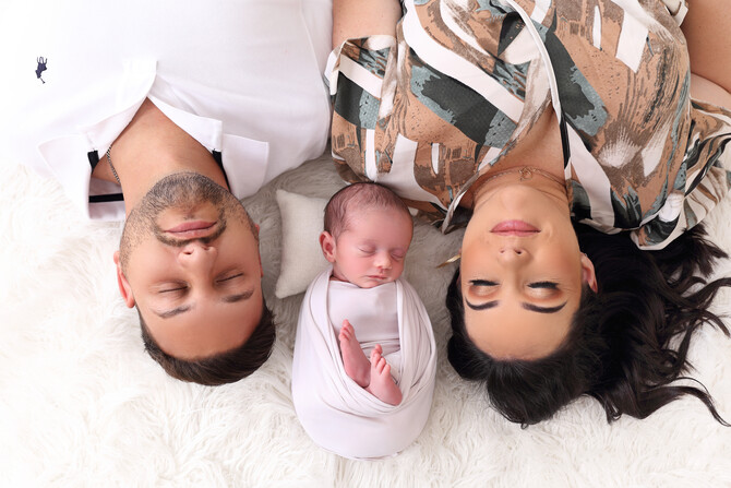 Emilio Ponte 14