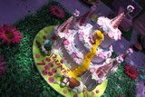 Lune's Birthday 8