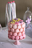 Lune's 9th Birthday 11