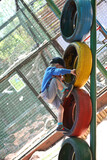 Rian's 2nd Birthday 29