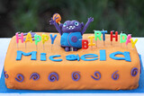 Micaela's 2nd Birthday 19