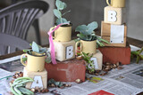 van Niekerk Baby Shower 4