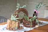 van Niekerk Baby Shower 5