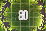 Francisca's 80th Birthday 21