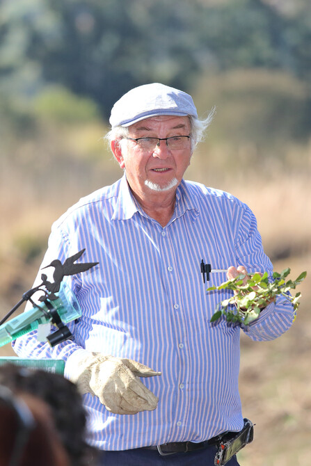 Ludwig's Rose Pruning Demonstration 41