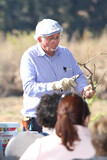 Ludwig's Rose Pruning Demonstration 37