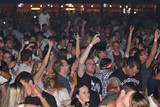 Old Year's Eve at Weiveld 110
