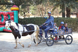 Kwandokuhle's 4th Birthday 13