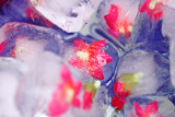Ayla's 21st Birthday 17