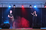 Forte Academy of Performing Arts 181