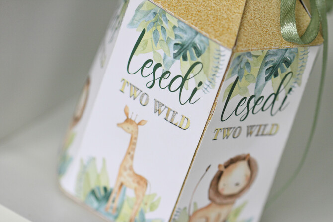Lesedi's 2nd Birthday 31