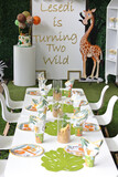 Lesedi's 2nd Birthday 9