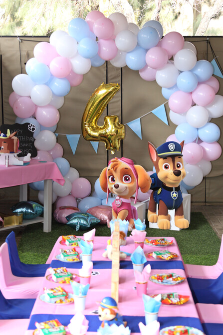 Thori and Rori 4th Birthday 12