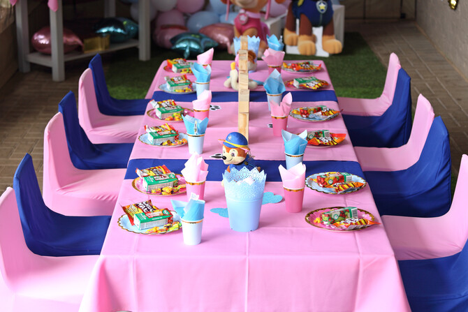 Thori and Rori 4th Birthday 13