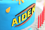 Aiden's 6th Birthday 14