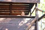 Tshenolo and Kaboentle's Birthday Party 76