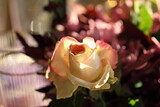 Elsie's 60th Birthday 23