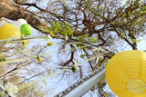 Annique's Kitchen Tea 46