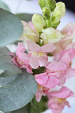 Sune's Bridal Shower 25