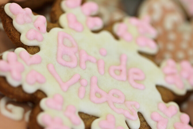 Danielle's Bridal Shower 10