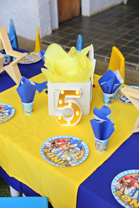 Riley's 5th Birthday 12