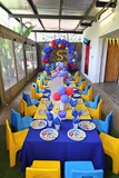 Riley's 5th Birthday 2