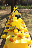 Leo and Christian's 5th Birthday 11