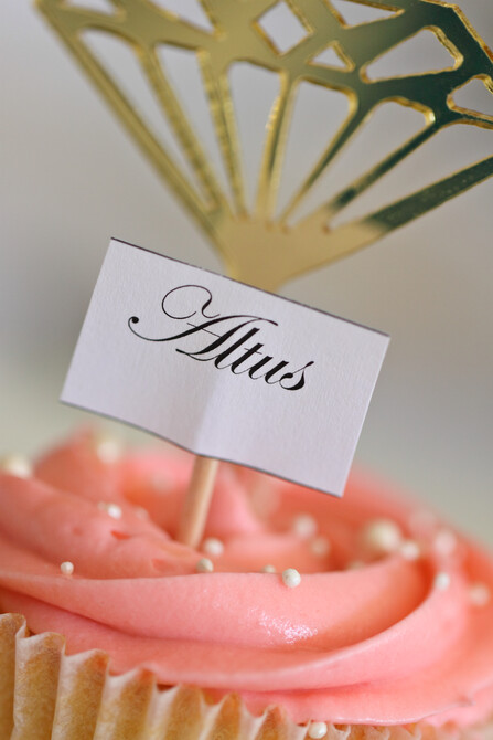 Elouise and Altus' Engagement Party 54