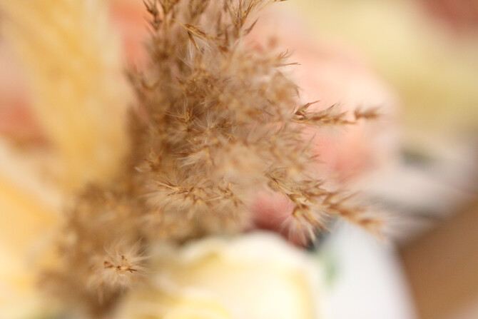 Wilmari's Kitchen Tea 22