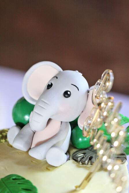 Ruwan's Baby Shower 109