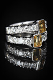 Altin Jewellers Gallery 2 16