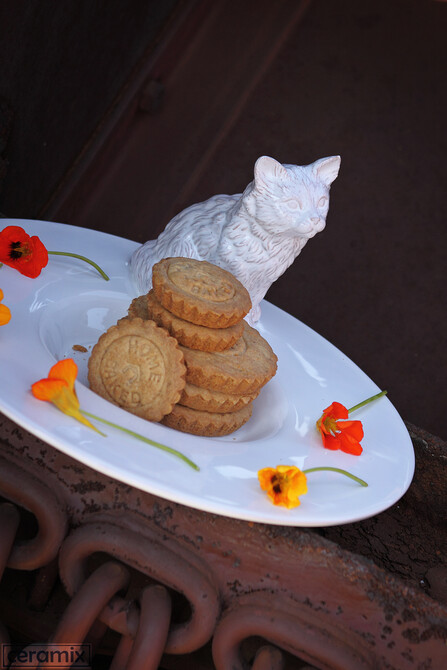 Ceramix Food Shoot 12