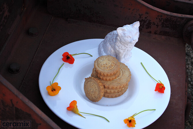 Ceramix Food Shoot 13