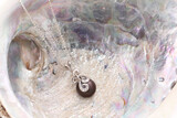 Altin Jewellers Gallery 6 39