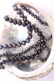 Altin Jewellers Gallery 6 42
