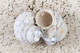 Carat Jewellers Gallery 2 14