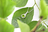 Carat Jewellers Gallery 2 27